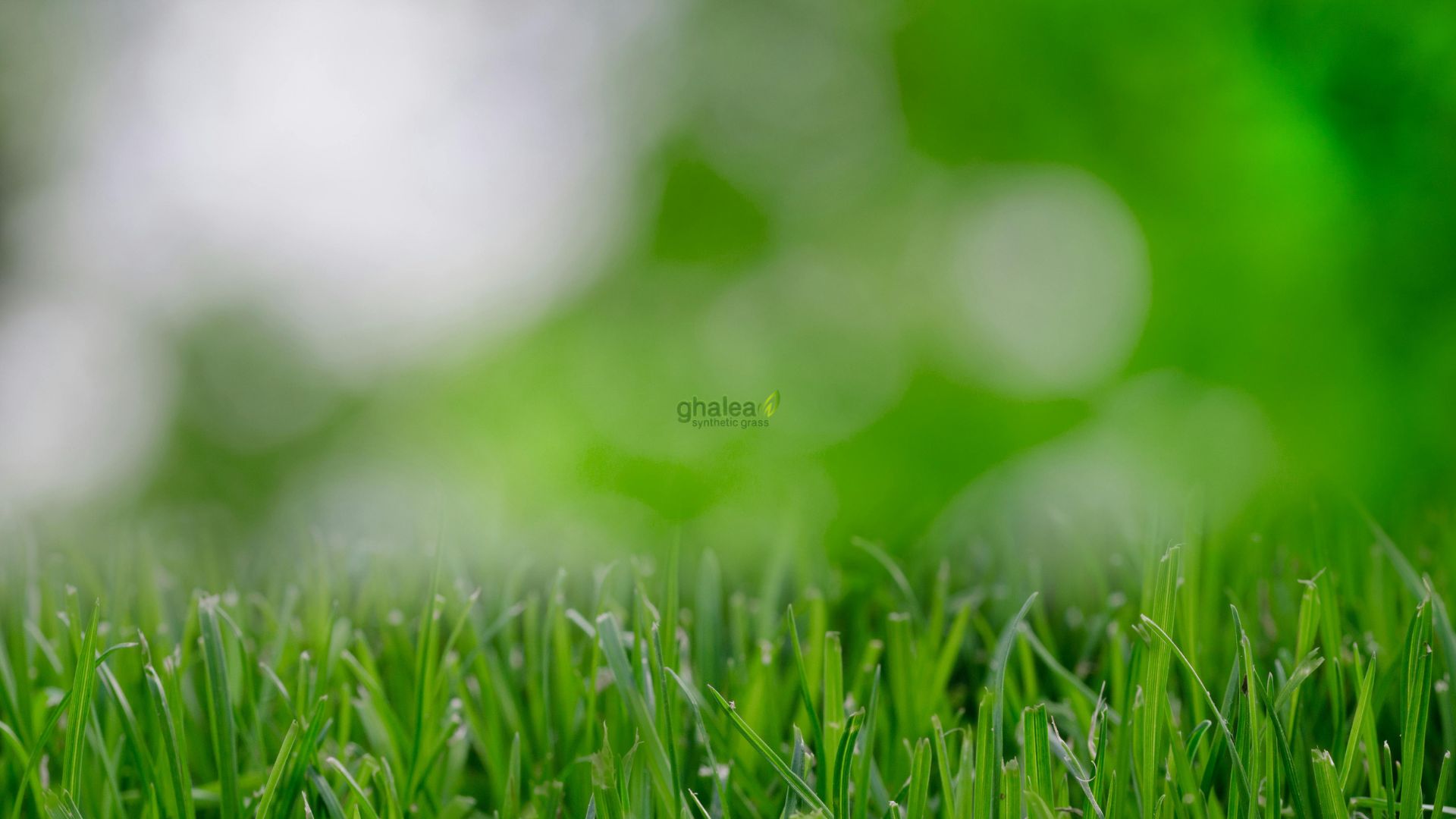 Rumput Sintetis Lapangan Futsal