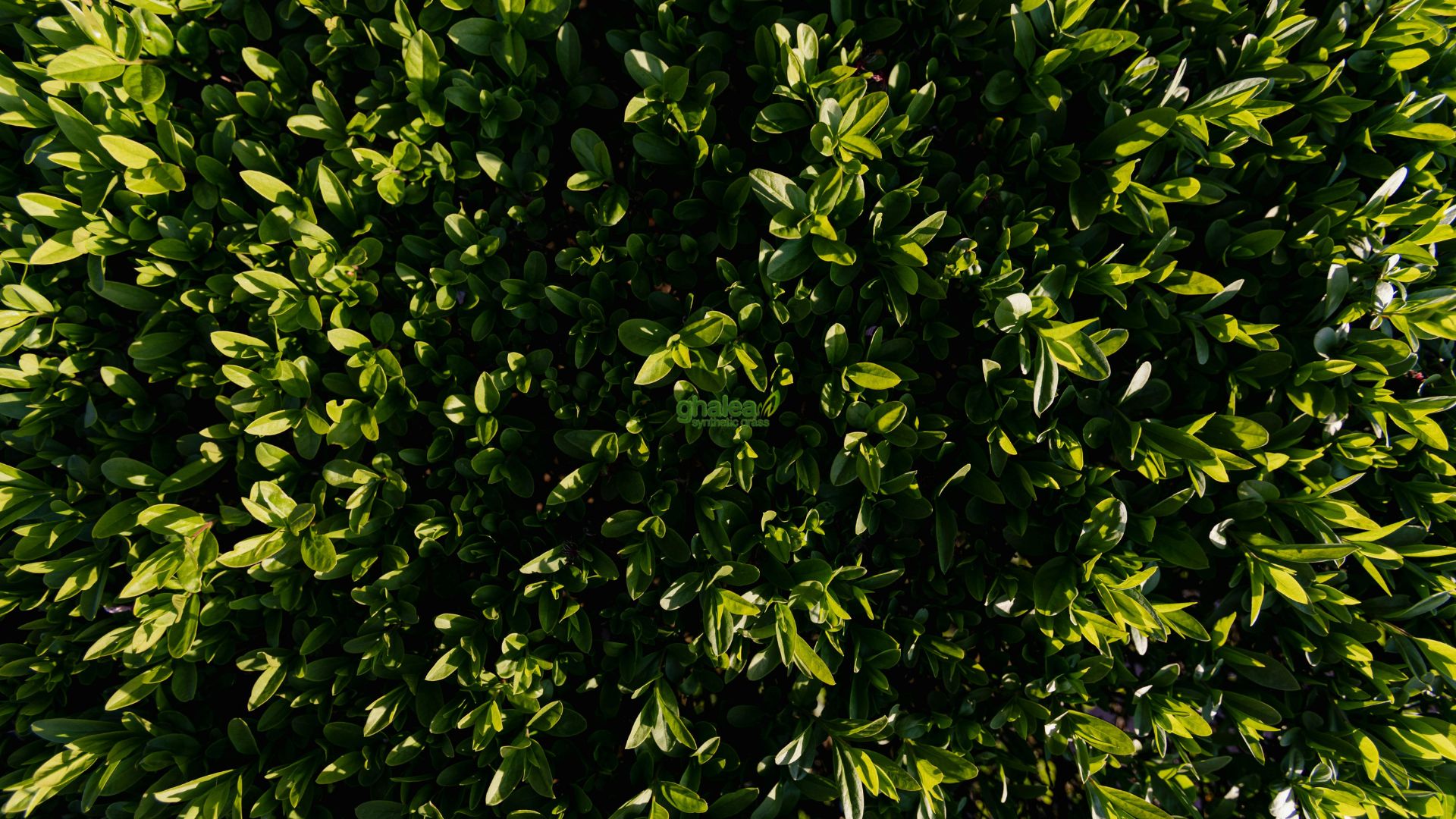 Rumput Sintetis Outdoor