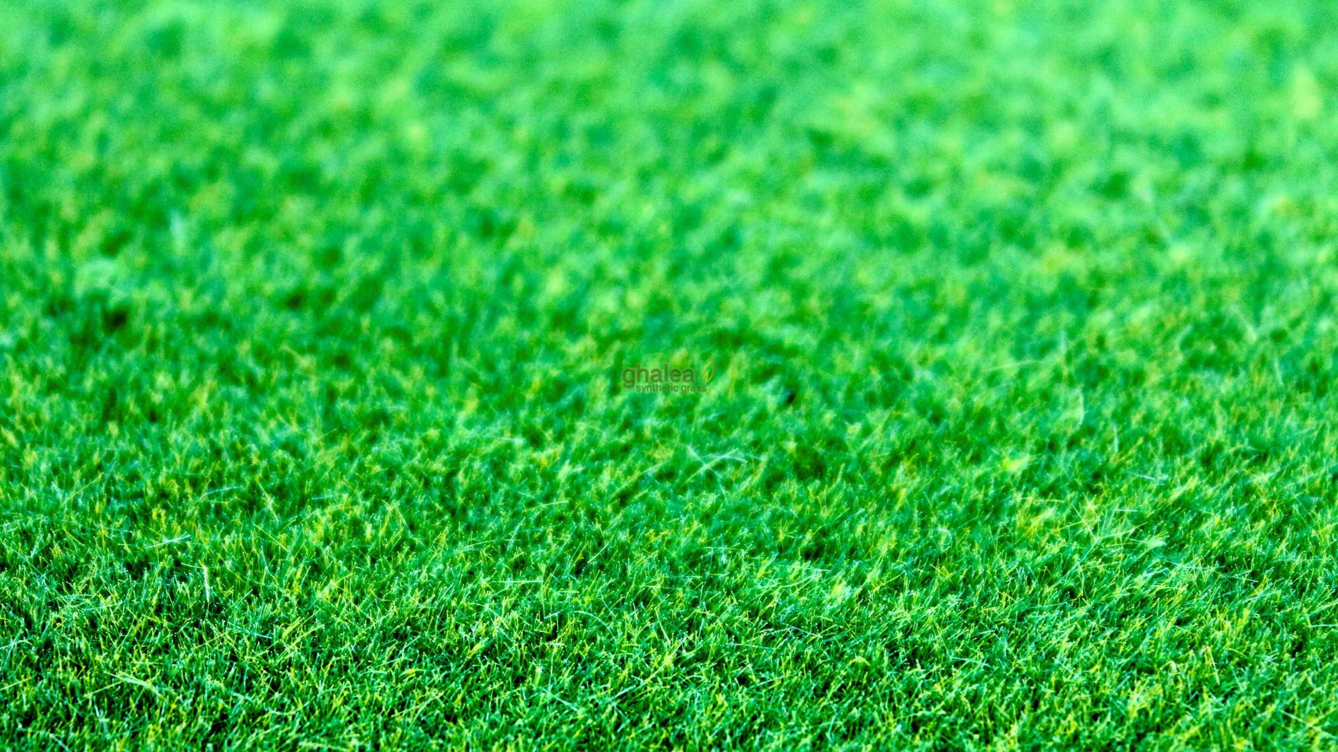 Rumput Sintetis Lapangan Futsal