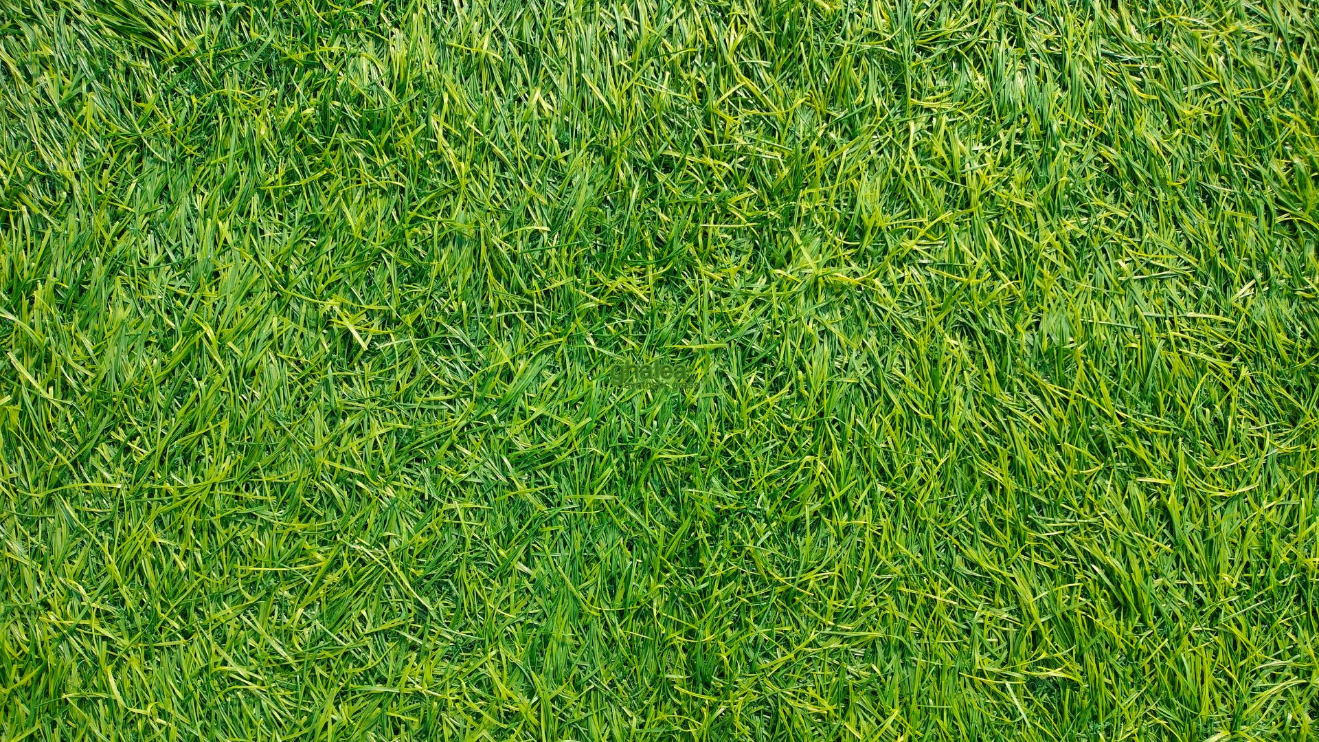 Rumput Sintetis Depok