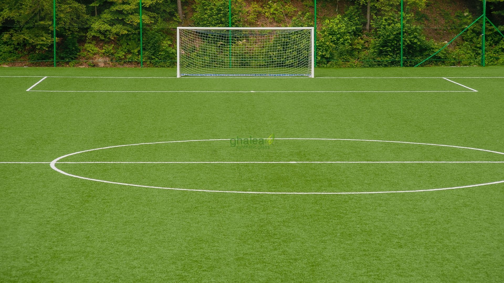 Rumput Sintetis Lapangan Futsal