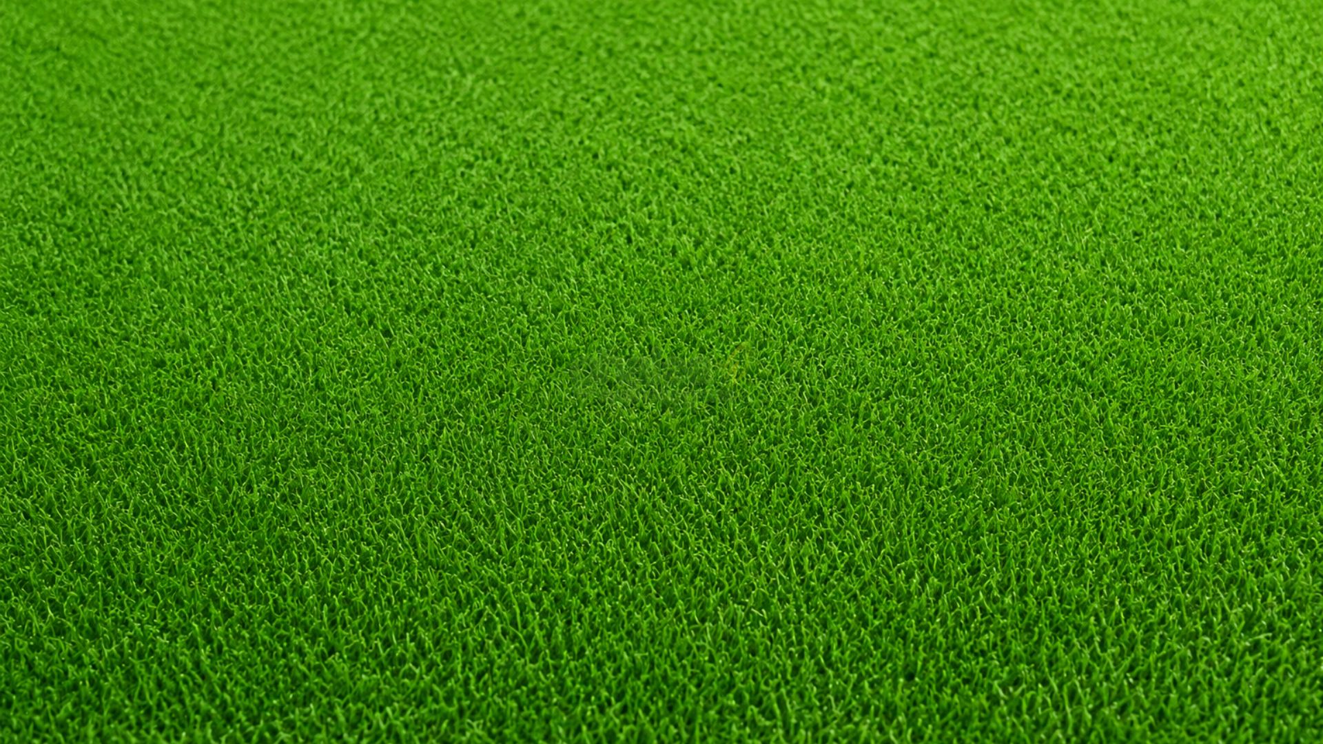 Rumput Sintetis Lapangan Futsal